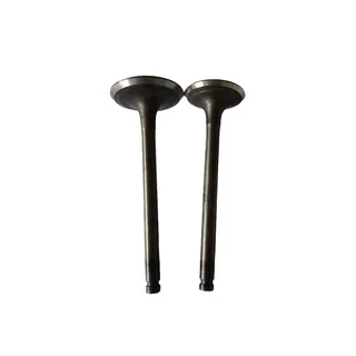 Intake Valve For Hitaci Excavator EX50UR Isuzu Engine 3AB1