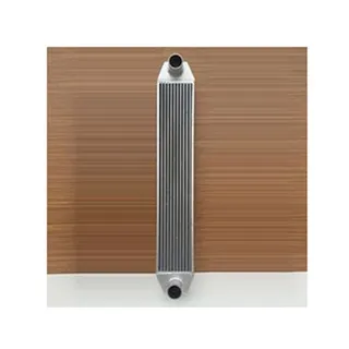 Intercooler 4650357 for Hitachi Excavator EG65R-3 ZR950JC ZX240-3F ZX250H-3 ZX270-3 ZX280LC-3 ZX360W-3