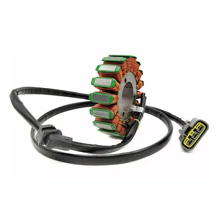 Magneto Stator 21040109704 for Odes ATV Dominator Raider 800cc 1000cc UTV Assailant D2 D4 X2 X4