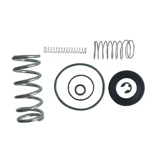 Minimum Pressure Valve Kit 2901008200 for Atlas Copco Screw Air Compressor