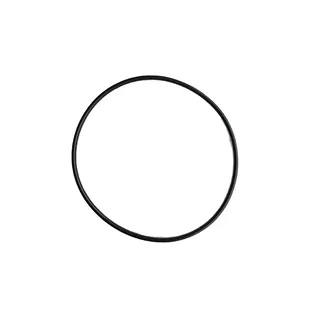 O Ring Seal 4974852 for Cummins Engine ISX12 QSZ13