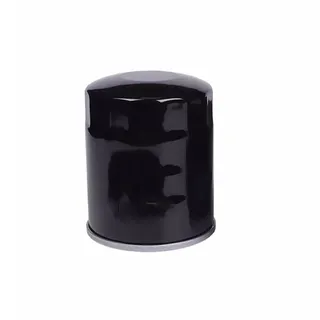 Oil Filter 800150924 for XCMG