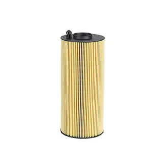 Oil Filter 1397764 5021188231 for DAF Car Heavy Duty Truck