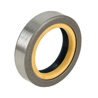 Oil Seal 1966194C1 for CASE 995 2120 695 4230 3230 660 560 495