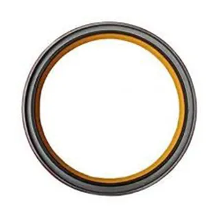 Oil Seal 3006738 for Cummins Engine N14 NH 855 NT 855