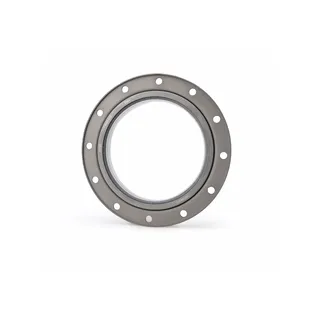 Oil Seal 3883620 for Cummins Engine M11 QSM11 ISM11 NT855