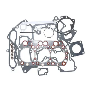 Overhaul Gasket Kit 6287-810-040-00 for Iseki Engine E3112 E3112G