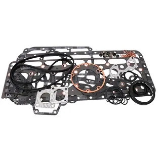 Overhaul Gasket Kit for Hino Engine DS50