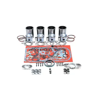 Overhaul Rebuild Kit for John Deere Engine 4.202 To 158,257