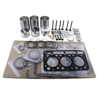 Overhaul Rebuild Kit for Kubota Engine D750 D750B D750-B