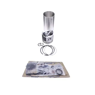 Overhaul Rebuild Kit for Yanmar Engine TF160