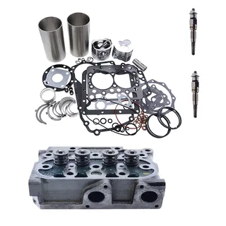 Standard Overhaul Rebuild Kit & Complete Cylinder Head & Glow Plug for Kubota Engine Z482