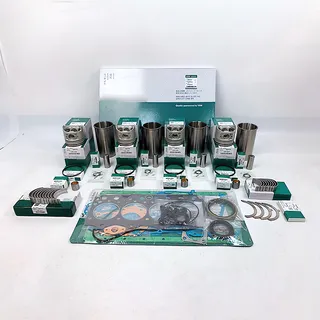 Overhaul Rebuild Kit for Caterpillar CAT E40B Excavator Mitsubishi 4D32 Engine