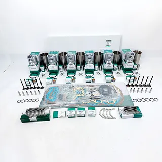 Overhaul Rebuild Kit for Cummins QSL9G3 Engine