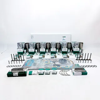 Overhaul Rebuild Kit for Doosan Daewoo DH170 Excavator Mitsubishi 6D16 Engine