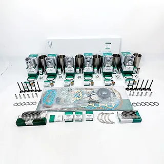 Overhaul Rebuild Kit for Hino H07C Engine Hitachi EX220-5 EX270-5 EX230-5 Excavator