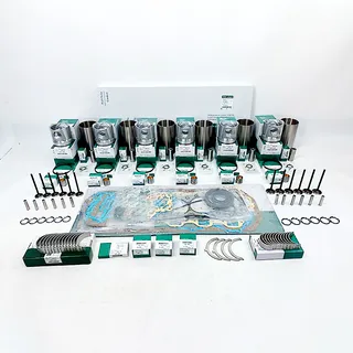 Overhaul Rebuild Kit for Hino H07D Engine