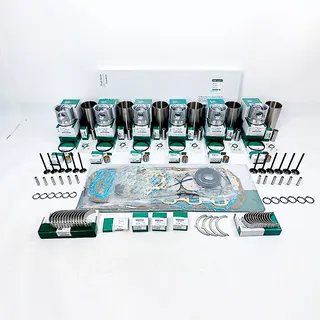 Overhaul Rebuild Kit for Isuzu 6QA1 Engine