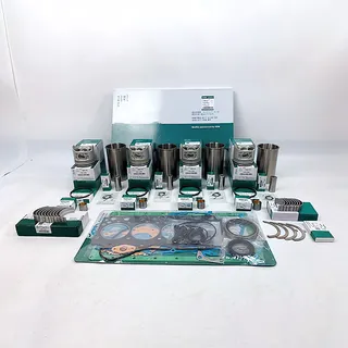 Overhaul Rebuild Kit for Isuzu C221 Engine Komatsu Forklift Truck Machine