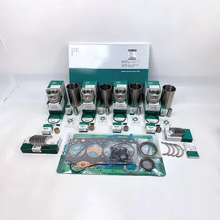 Overhaul Rebuild Kit for Isuzu D201 Engine