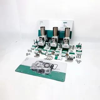 Overhaul Rebuild Kit for Komatsu 3D95 Engine