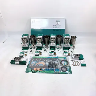Overhaul Rebuild Kit for Komatsu 4D92-1 Engine