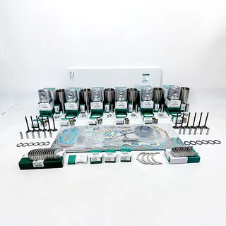 Overhaul Rebuild Kit for Komatsu 6D155 Engine PC650 Excavator