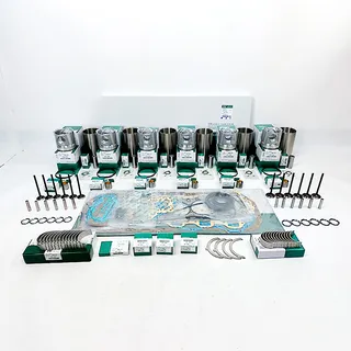 Overhaul Rebuild Kit for Komatsu Engine 6D114-1 SA6D114E-1