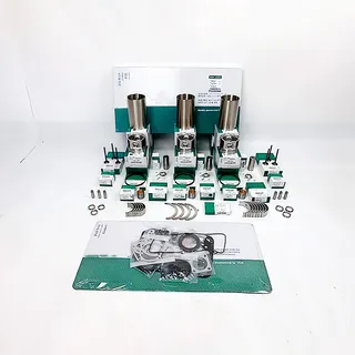Overhaul Rebuild Kit for Kubota D1703 Engine L2501D L2501F L2501H L3540GST L3540HST L3540HSTC Tractor