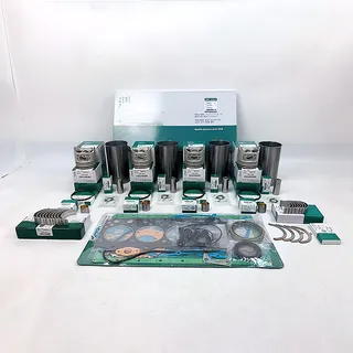 Overhaul Rebuild Kit for Liebherr R934 Engine