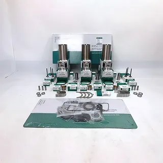 Overhaul Rebuild Kit for Mitsubishi 4D34 Engine Kobelco SK160LC SK120-5 Excavator