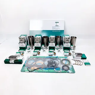 Overhaul Rebuild Kit for Mitsubishi D04FD-TAA DO4FD-TAA Engine Hyundai Heavy Industries Excavator