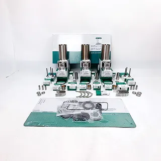 Overhaul Rebuild Kit for Mitsubishi S3Q2 Engine Caterpillar CAT 303.5D 303.5 D CR Excavator