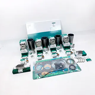 Overhaul Rebuild Kit for Mitsubishi S4L Engine SAME Solaris 40 Tractor