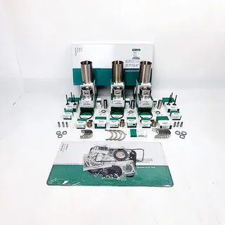 Overhaul Rebuild Kit for Perkins 1103A-33 Engine