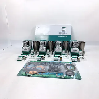 Overhaul Rebuild Kit for Perkins Engine 704-30