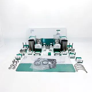 Overhaul Rebuild Kit for Yanmar 2TNV70 Engine T3 Excavator