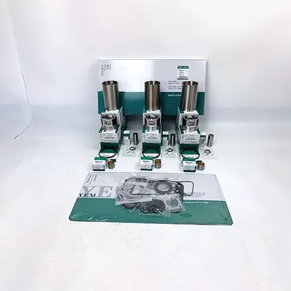 Overhaul Rebuild Kit for Yanmar 3TN100 Engine Kobelco SK42 Digger