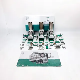 Overhaul Rebuild Kit for Yanmar 3TN66 Engine B08 B08-2 S15 Excavator