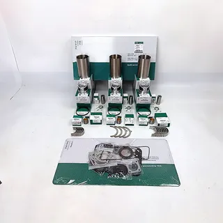 Overhaul Rebuild Kit for Yanmar 3TN78 Engine John Deere JD25 Excavator