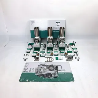 Overhaul Rebuild Kit for Yanmar 3TNA66 Engine