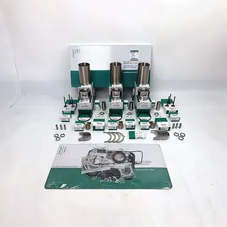Overhaul Rebuild Kit for Yanmar 3TNB84 Engine FX235 FF245D FX255 FX265 F265DT FX265M Tractor