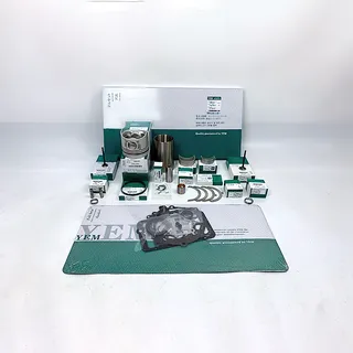 Overhaul Rebuild Kit for Yanmar TF160 Engine