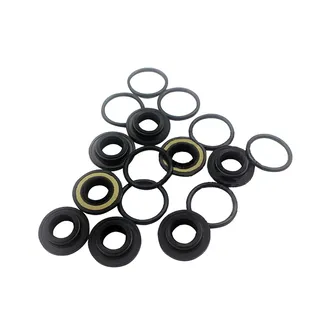 Pilot Valve Seal Kit For SUMITOMO SH200