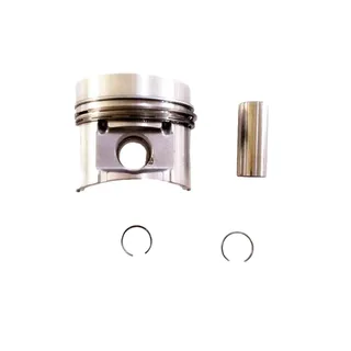 Piston Kit 0427-1219 for Deutz F2M1011F F3M1011F F4M1011F Engine