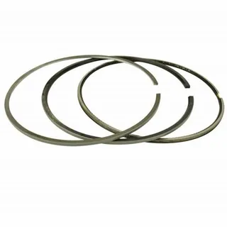 Piston Ring Kit 2881682 2881756 3684010 3685095 for Cummins QSX15 ISX15 Engine