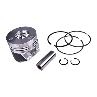 1 Cylinder Piston With Ring 04281447 for Deutz Engine F2M2011 F3M2011 F4M2011 F2L2011 F3L2011 D2011L02 D2011L03 D2011L04