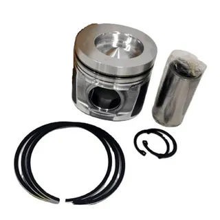 Piston Kit 04501383 for Deutz Engine TCD2012 L06 2V TCD2012 2V-EC140C D4EEBE3