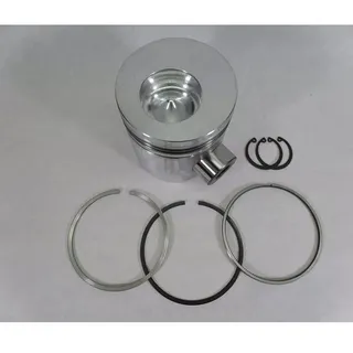 Piston Kit 3923165 for Cummins Engine 6C8.3