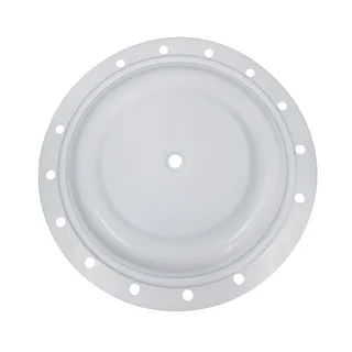 PTFE Diaphragm 95930 for Ingersoll Rand ARO Diaphragm Pump Expert-Series PD20P-FPS-PTT